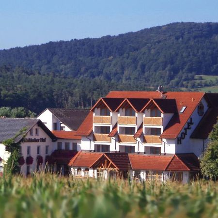 Wagners Fraenkischer Hof Altenkunstadt Dış mekan fotoğraf